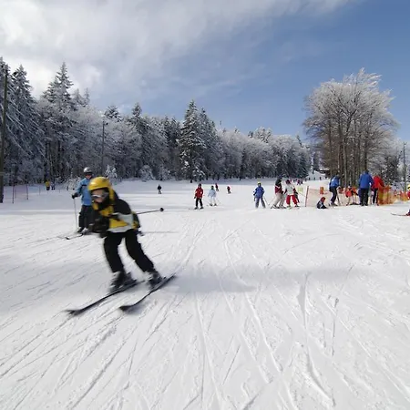 Bolfenk