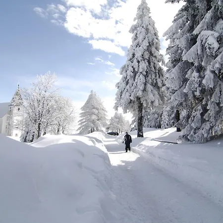 Bolfenk 아파트 *